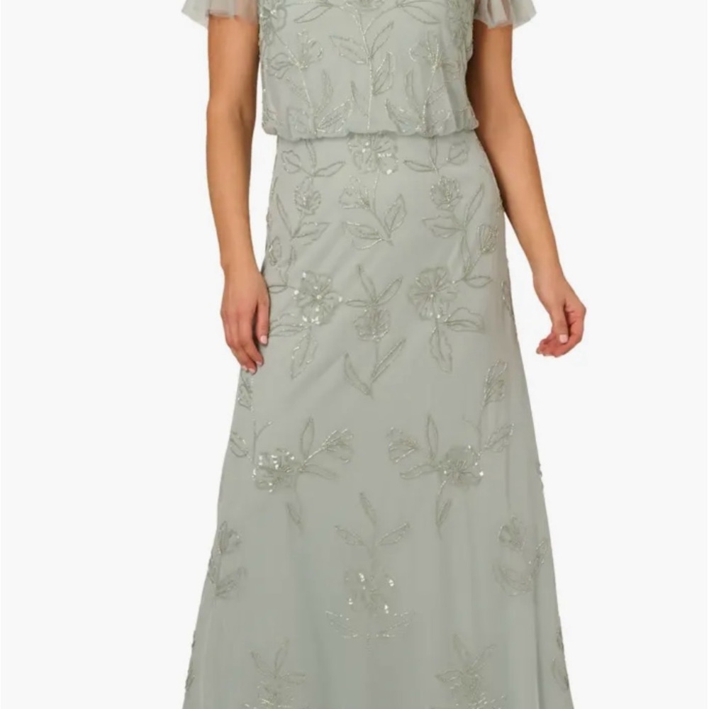 Adrianna Papell Sage Embroidered Gown